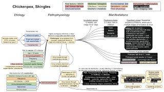 Chickenpox Shingles mechanism of diseases [upl. by Hussein]