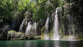 Wasserfallgeräusche mit Vogelgezwitscher im Wald Naturgeräusche zum Einschlafen amp Entspannen [upl. by Hailahk]