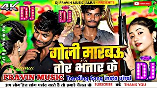 Dj Parvin Music  Goli Marbau Tor Bhatar Ke Dj Remix  Saurav U Dj Song  Rangdari Song New 2024 [upl. by Zednanreh]