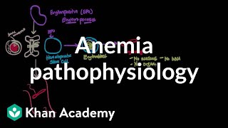 Anemia pathophysiology  Hematologic System Diseases  NCLEXRN  Khan Academy [upl. by Northrup]