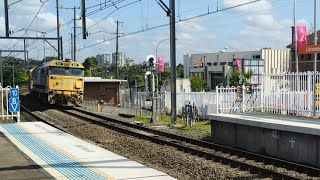 Pacific National T191 8157 and SSR AR07 C504 C510 C509 C506 coal train passing at Lidcombe 111024 [upl. by Theo653]