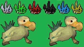 Chompy Hunting Guide OSRS  200 KillsHour [upl. by Ahsena]