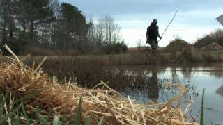 From the Field Eradicating nutria from Chesapeake Bay marshes [upl. by Tyra]