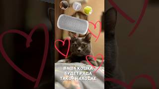 НАХОДКА ДЛЯ КОШКИ находка находкавб обзорпокупок распаковка кошки длякошек смешныеживотные [upl. by Marcus738]