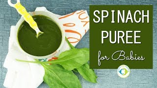 Palak Spinach Puree for Babies  6 months baby food [upl. by Gregorio]