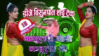 Kabutri Bole Kabutar Se Super Dholki Mix Dj Vishnupal [upl. by Dnyletak327]