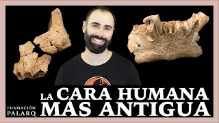 La cara humana más antigua el hallazgo en la Sima del Elefante Atapuerca [upl. by Noled]