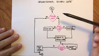 Programación Diagramas de flujo y pseudocódigo [upl. by Leamse]