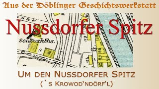 Nussdorfer Spitz [upl. by Ennoira]