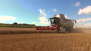 Harvesting amp The Grain Dryer [upl. by Eixirt]