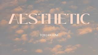 Aesthetic  Tollan Kim  10HourBGM [upl. by Reffotsirk790]