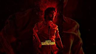 Saripodhaa Sanivaaram Ringtone  Teaser Bgm Nani  Saripoda Sanivaram ringtone  Nani New Songnani [upl. by Aikahc]