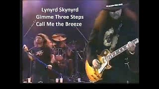 Lynyrd Skynyrd  Gimme Three Steps  Call Me the Breeze  1996  Live Video in Germany [upl. by Sokcin]