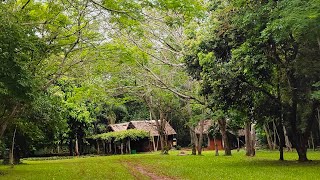 Ciudad de Hohenau en Paraguay [upl. by Patton]