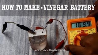 How to make a Vinegar Battery [upl. by Shien]