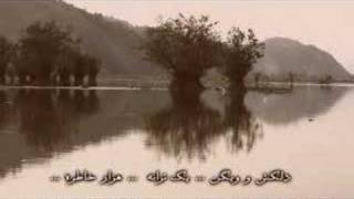 Delkash Vigen memories Persian Iranian Farsi Singer [upl. by Somar369]