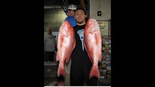 Red snapper and Gag Grouper offshore fishing Jun 15 2018 [upl. by Allred]