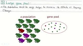 bio 11 Genes Populations and evolution  part 2 [upl. by Annaicul]