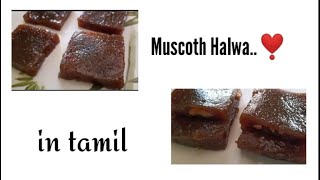 Muscoth halwa recipe in tamil ❣️ [upl. by Irpak]