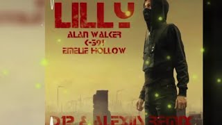 Lilly  Alan Walker K391 amp Emelie Hollow Song [upl. by Berenice]