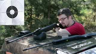 Обзор пневматических винтовок Norica Dragon GRS и Gamo Big Cat 1000 [upl. by Eleon]