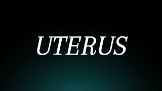 Learn How to Pronounce Uterus Correctly Medical Term Pronunciation [upl. by Lucienne321]