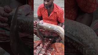 Amazing fresh live Mrigel fish cutting skill shorts fishcuting ayer viralvideo fishcuttingskill [upl. by Vasquez]