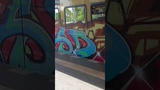 BLESD Graffiti Subway Train SBahn Berlin 2024 [upl. by Martinsen811]