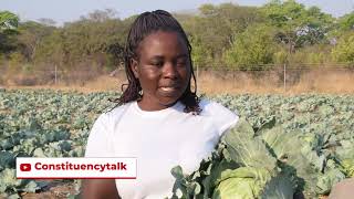 Constituency Talk Chikomba West Nutrition Gardens [upl. by Giesser]