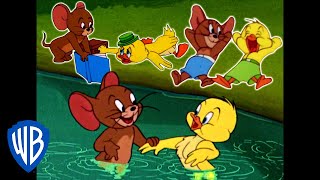 Tom amp Jerry  Best of Jerry and Little Quacker  Classic Cartoon Compilation  WB Kids [upl. by Lukey]