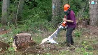 Alpine Magnum Portable Stump Grinder [upl. by Gnoix]