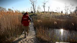 Long Point EcoAdventures Trip to Tip [upl. by Timmie]