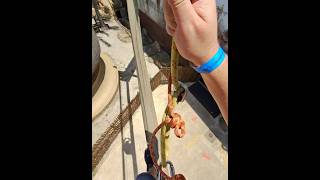 Pole walking at Ushaka Marine World  Durban  South Africa 🇿🇦  RayBan Meta [upl. by Naerda]