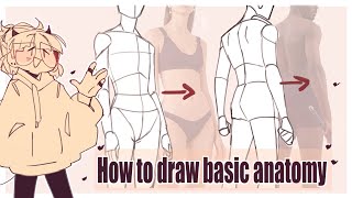 How to draw basic anatomy [upl. by Lenrow91]