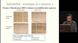 Le bois dans tous ses états  Au chevet du bois  le diagnostic technique [upl. by Syl]