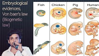 Embryological evidences Von baers law Biogenetic law [upl. by Ogirdor804]