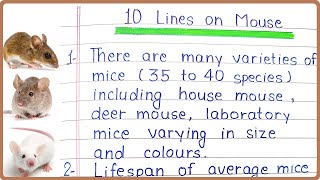 10 Lines Essay on Mouse in English  Mouse 10 Points  Few Lines Sentences on Mouse  Mouse Essay [upl. by Schnapp]