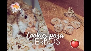 COOKIES PARA JERBOSHAMSTERS DIY  RECETA DE MANZANA Y PIPAS 🍎 🐹 [upl. by Polito998]