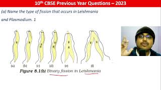 Name the type of fission that occurs in Leishmania and Plasmodium 1 [upl. by Dnilazor]