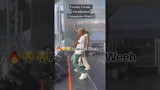 Freddy Gwala  Amadamara Amapiano Remix snippet shortvideo amapiano trending tiktok ytshorts [upl. by Madelin]