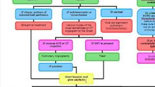 Pulmonary Embolus Algorithm [upl. by Enyledam794]