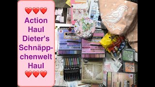 Action Haul deutsch NEUE Stifte Dieters Schnäppchenwelt Haul Scrapbook basteln mit Papier [upl. by Feer]