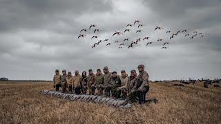 GOOSE HUNTING IN 70 MPH WINDS 85 BIRDS [upl. by Keiko]