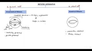 Mitotic Apparatus  Lecture 6  Cell division [upl. by Aneres]