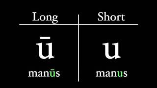 The Latin Alphabet  Vowel Pronunciation [upl. by Alva]