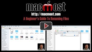 A Beginners Guide To Renaming Files 1616 [upl. by Wampler866]