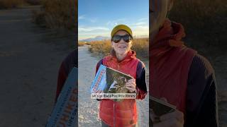 Hiding books in Free Little Libraries while we travel [upl. by Hebert403]