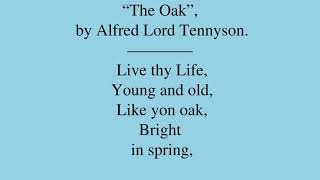 Poem by Alfred Lord Tennyson “The Oak” [upl. by Aehtrod]