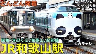 JR和歌山駅🚃どんどん電車が発着！●特急くろしお、紀州路快速 等／阪和線・きのくに線・和歌山線・紀勢線 和歌山市方面・和歌山電鐵（夕方ラッシュ）【JR西日本】 [upl. by Kcirddor963]