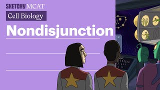 Nondisjunction Lesson Chromosome Anomalies amp Diagnosis Full Lesson  Sketchy MCAT [upl. by Abbotsen383]